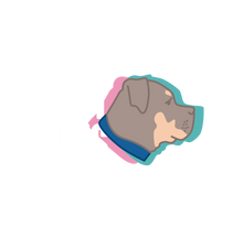 Best Pets