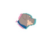 Best Pets
