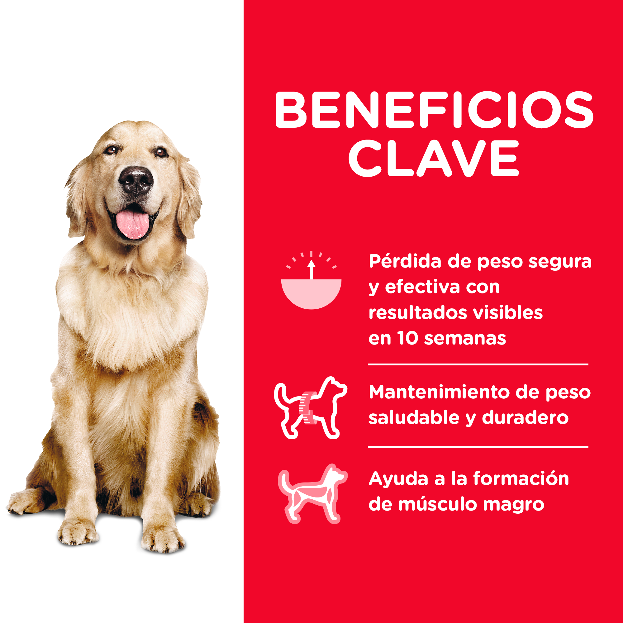 HILLS CANINO ADULTO PERFECT WEIGHT - CONTROL DE PESO