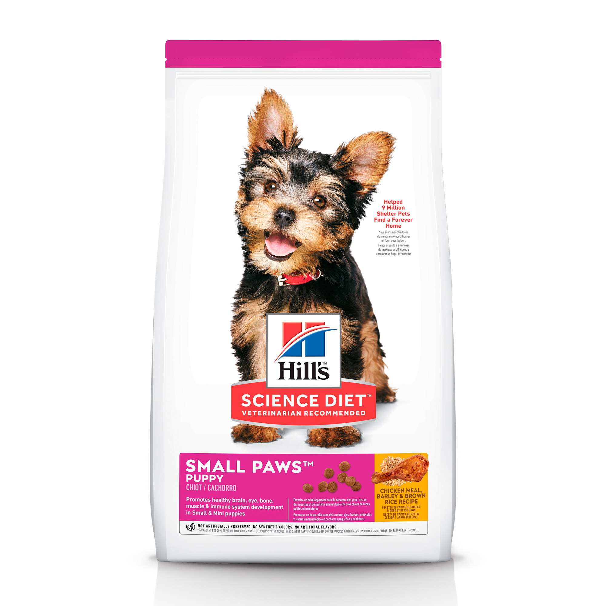 HILLS CANINO CACHORRO SMALL PAWS