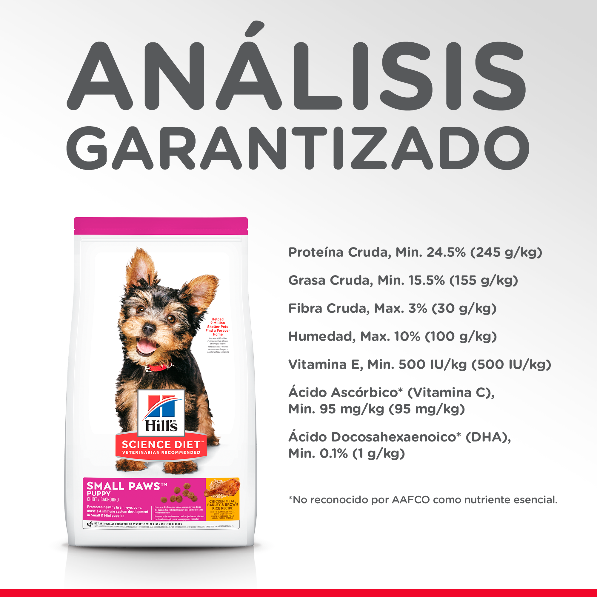 HILLS CANINO CACHORRO SMALL PAWS