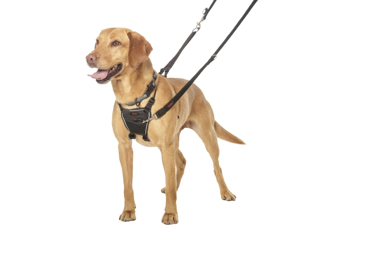 HALTI NO PULL HARNESS - ANTIJALONES