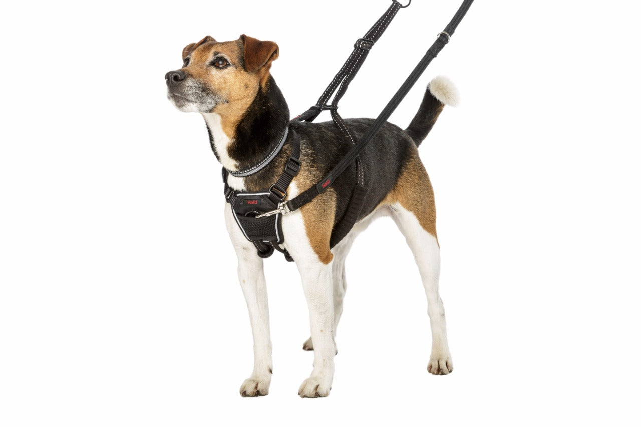 HALTI NO PULL HARNESS - ANTIJALONES